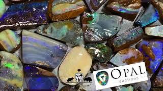 No Reserve Boulder Opal Auctions