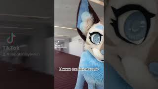 #furry #fursuit #fursuiters #furcon #anthrocon #fursuits #fursona #furries #tiktok #fursuiting