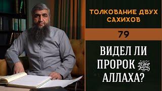 Толкование двух сахихов 79   Видел ли пророк ﷺ Аллаха