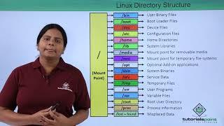 Linux   Directory Structure