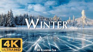 Winter - 4K Movie for Relaxation - Calm Relaxing Music • UltraHD Video