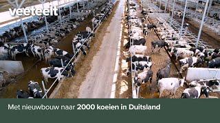 Met nieuwbouw naar 2000 koeien in Duitsland