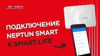 Подключение Neptun Smart к приложению Smart life