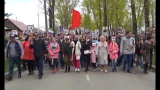 Шествия бессмертного полка не будет в Абакане в этом году - Абакан 24