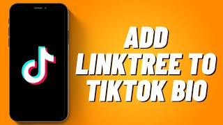 How to Add Linktree to Tiktok Bio (2023)