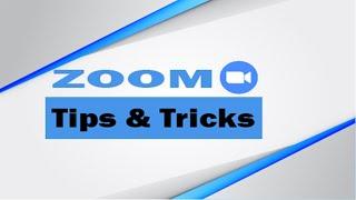 zoom tips and tricks for hosts participants teachers students