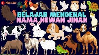 BELAJAR TEBAK NAMA BINATANG HEWAN JINAK / TAME ANIMALS LEARNING ANIMALS | BAHASA INDONESIA - INGGRIS