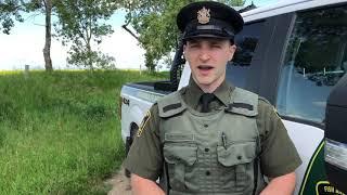 Wildlife in urban areas – Alberta Fish and Wildlife Enforcement