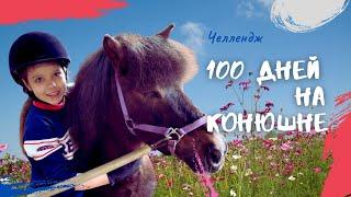 КОНОБЛОГ// ВПЕРВЫЕ выход в поля и стрижка лошади // ЧЕЛЛЕНДЖ 100 дней на конюшне