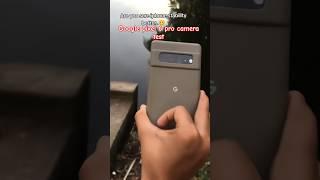 Google Pixel 6 Pro Camera Test  Are You Sure Iphone Stability Better #youtubeshorts