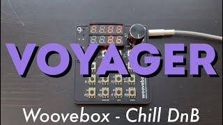 Voyager - Woovebox - Chill DnB