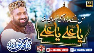 Mil K Maro Sabhi Nara Haidri - Ya Ali Ya Ali || Qari Shahid Mehmood Qadri || Al Shahbaz Sound