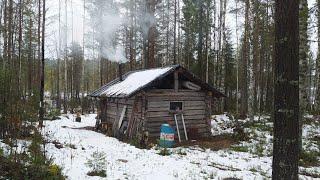 На избу с ночёвкой/ Охота на куницу капканами/ Самоловки/ Фотоловушка/ Нордик ворует/ Заяц