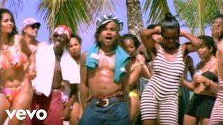 Shaggy, Rayvon - In The Summertime