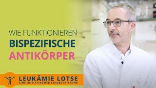 bispezifische Antikörper: klinische Studien zur Therapie gegen solide Tumoren