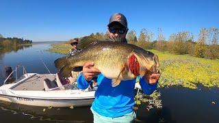 GIANT 13 POUND LARGEMOUTH BASS CAUGHT IN SOUTH AFRICA - Cast to Catch to SCALE.
