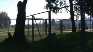 tikato parkour.wmv