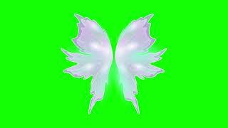 Green Screen Animated Butterfly Wings | Free Download