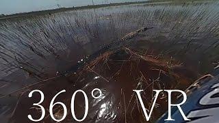 Air Boat and aligators 360 Degrees VR