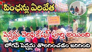 బోగస్ పెన్షన్లు ఏరివేత|NTR BHAROSA PENSION SCHEME|Pensions Social Audit Process|Andhra Pradesh