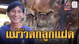 เจ้าของตื่นเต้น แม่วัวตกลูกแฝด ของขวัญคืนข้ามปี | ข่าวอรุณอมรินทร์ | 2/1/68