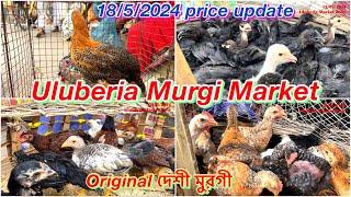Uluberia Murgi Market, Uluberia Pet Market 18/5/24 price update today#cheapestprice #sundaypetmarket