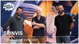 Music & Murals ft. Spinvis - Tienduizend zwaluwen (Ten thousand swallows)