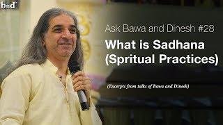 What is Sadhana (Spiritual Practices) : Ask Bawa and Dinesh #28