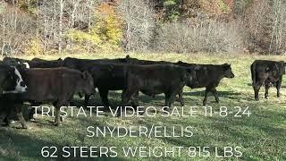 TRI STATE VIDEO SALE 11-8-24 AT 1PM