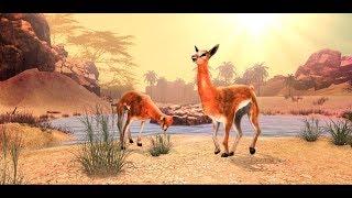 Llama Wild Life Simulator 3D Gameplay Video Android/iOS