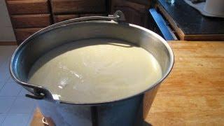 The Raw Milk Renaissance: A Farmer's Advocacy for Natural Dairy
