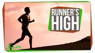 What Causes Runner's High?