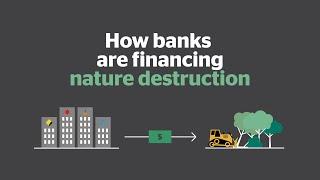 How Australian banks are financing nature destruction | Australian Conservation Foundation | ACF