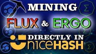 New!!! Mine FLUX and ERGO Directly in Nicehash | LoLMiner & NBMiner