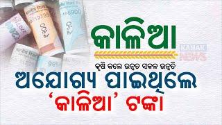 CAG Report Presented In Odisha Assembly Today | Some Facts About Kalia Yojana Revealed