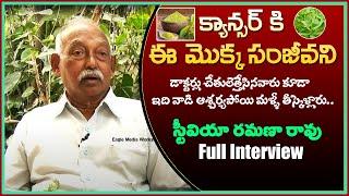 Ramana Rao about Stevia Plant and its Benefits | Eagle Media Works