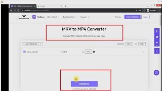 MKV To MP4 Converter Online 2022