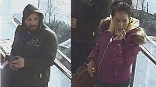 Suspects sought in 'vicious' assault of woman, 61, on Surrey bus