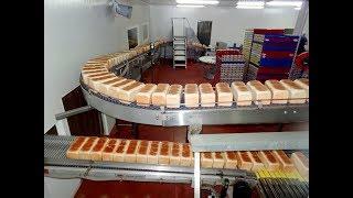 Bread processing Factory- Automated production line with high technology machines