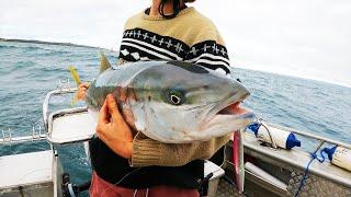 Jigging For Giant Kingfish!?!