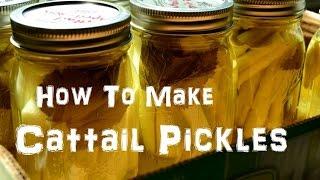 (The Northwest Forager) Ep. 12 Cattail Pickles