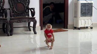 Super funny! Monkey luk ran away and did not want to bathe