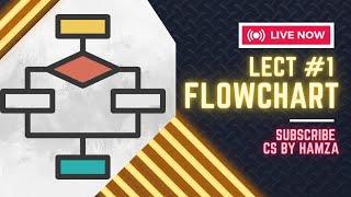 Flowchart | Lecture #1 | O level Computer Science | CS By Hamza | #2210 #0478 #flowcharts #flowchart