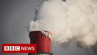 Document leak reveals nations lobbying to change key climate report - BBC News