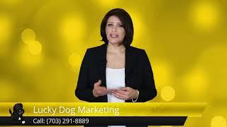 Lucky Dog Marketing Arlington Best Marketing Agency - 5 Star Review by Amy Crescimanno Word