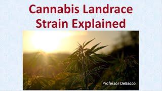 Cannabis Landrace Strain Explained