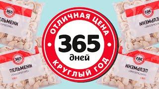 ЧТО ТАКОЕ 365 ДНЕЙ?