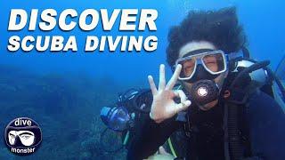 Tim's Discover Scuba Diving (DSD) - PADI