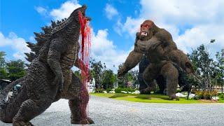 Godzilla vs. Kong - KING KONG EN LA VIDA REAL | Egor