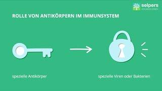 Antigene und Antikörper (Experte erklärt)